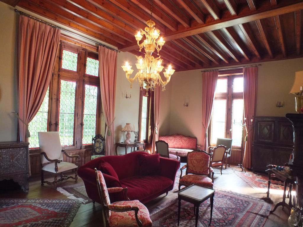 Chateau De Naze Vivy-Saumur Bagian luar foto
