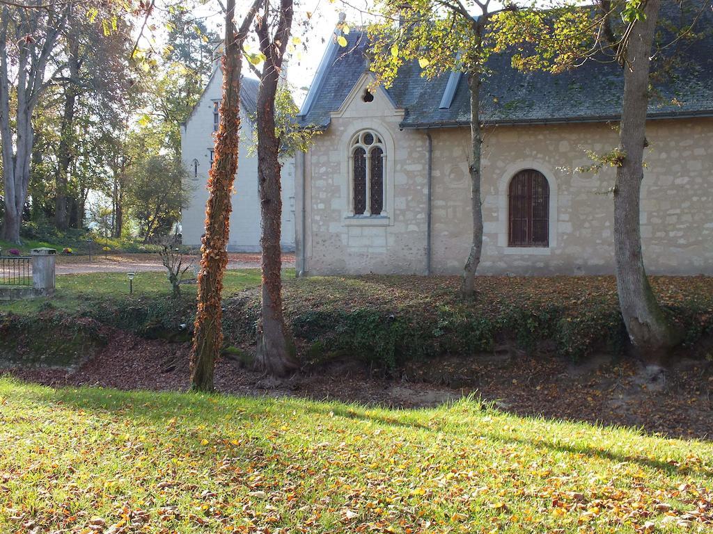Chateau De Naze Vivy-Saumur Bagian luar foto