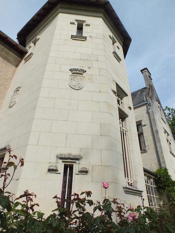 Chateau De Naze Vivy-Saumur Bagian luar foto